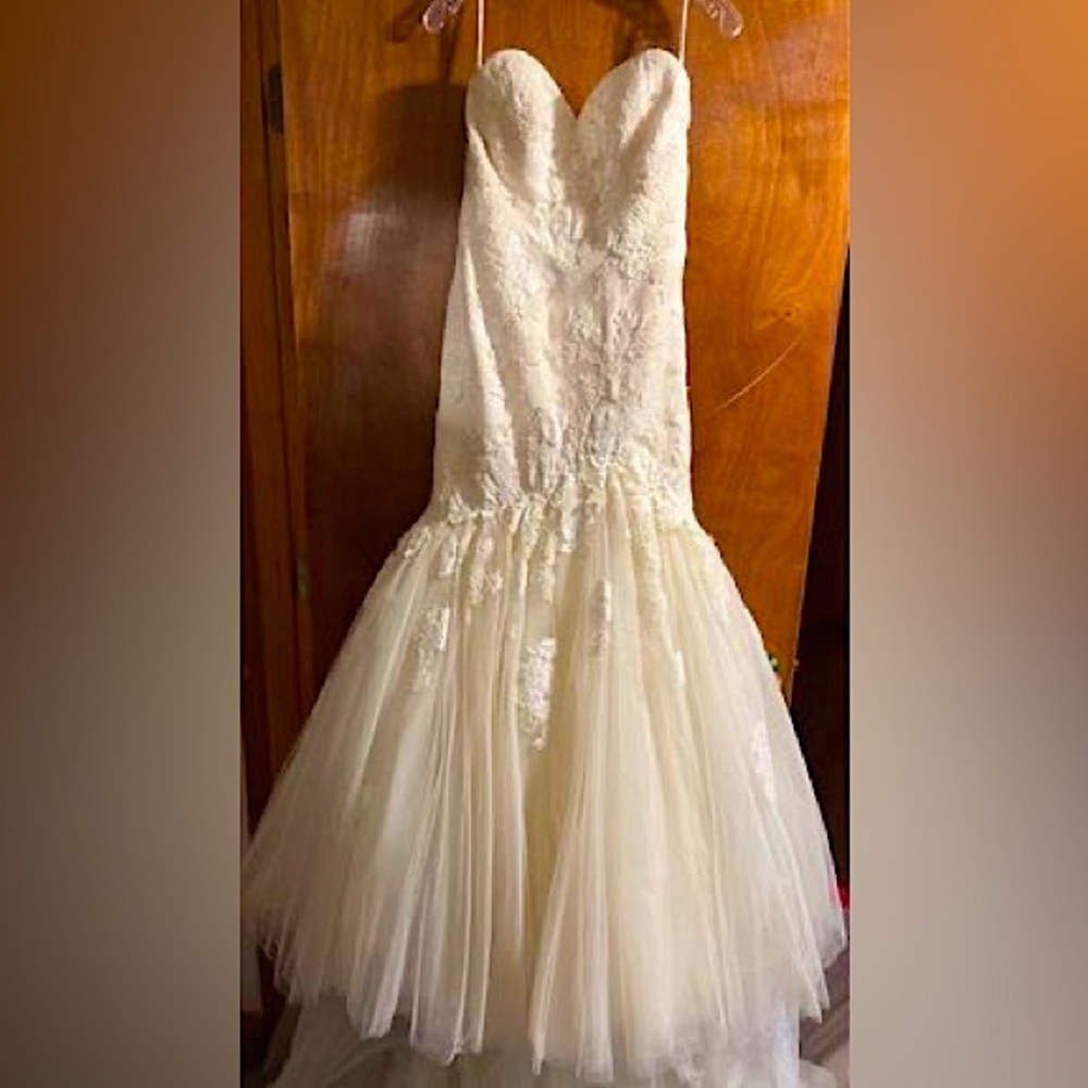 Gorgeous lace wedding dress with pearl details and matching vail. Unaltered